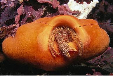 蓝洞第三季度财务增长放缓 《PUBG》手游销售额下降12%